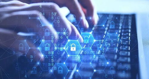 數據泄露事件頻發 防患于未然，加強網絡與信息安全軟件開發